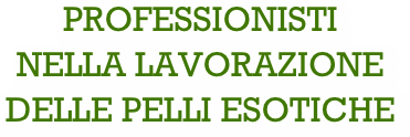 Professionisti NELLA LAVORAZIONE DELLE PELLI ESOTICHE